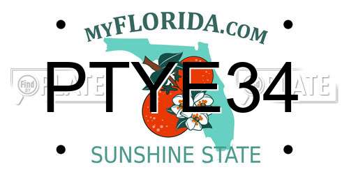 PTYE34 Florida License Plate