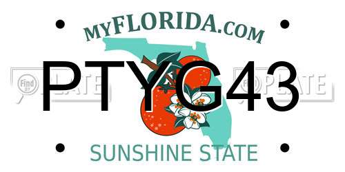 PTYG43 Florida License Plate
