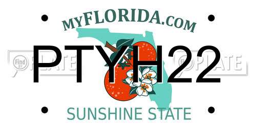 PTYH22 Florida License Plate