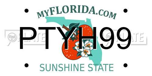 PTYH99 Florida License Plate