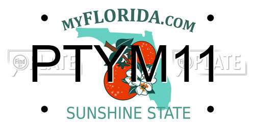 PTYM11 Florida License Plate