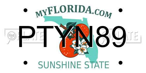 PTYN89 Florida License Plate
