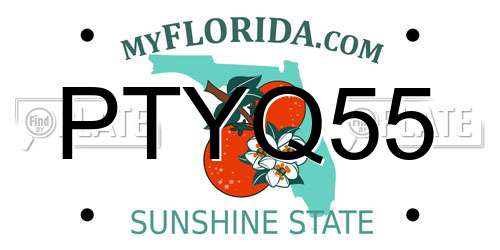 PTYQ55 Florida License Plate