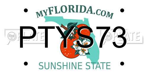 PTYS73 Florida License Plate