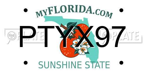 PTYX97 Florida License Plate