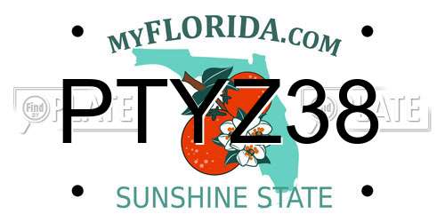 PTYZ38 Florida License Plate