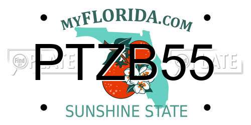 PTZB55 Florida License Plate