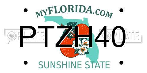 PTZH40 Florida License Plate