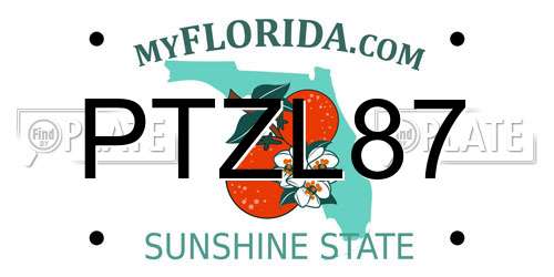 PTZL87 Florida License Plate