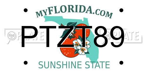 PTZT89 Florida License Plate