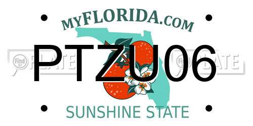 PTZU06 Florida License Plate