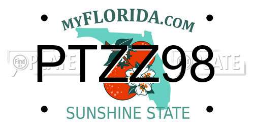PTZZ98 Florida License Plate