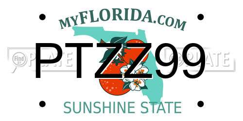 PTZZ99 Florida License Plate