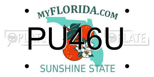 PU46U Florida License Plate