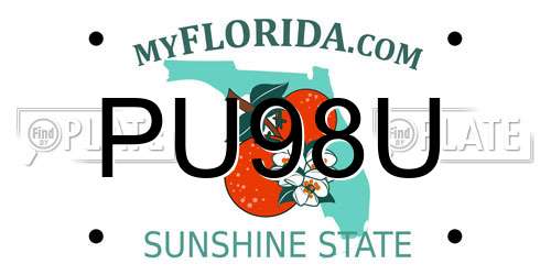 PU98U Florida License Plate