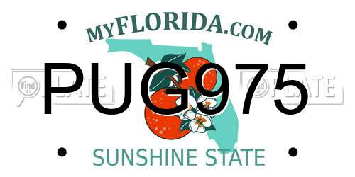 PUG975 Florida License Plate