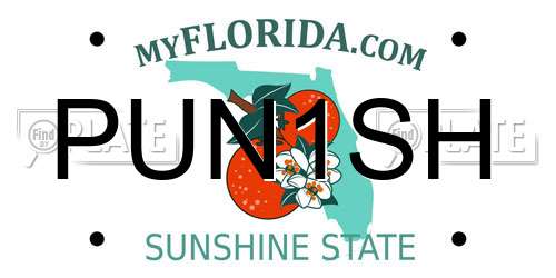 PUN1SH Florida License Plate