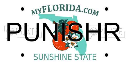 PUNISHR Florida License Plate