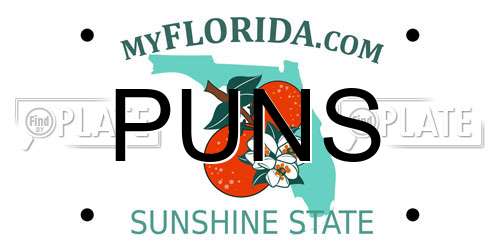 PUNS Florida License Plate