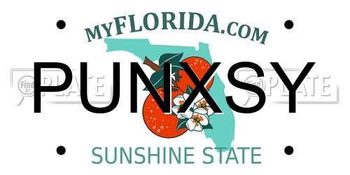 PUNXSY Florida License Plate
