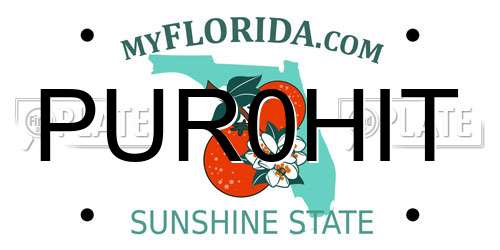 PUR0HIT Florida License Plate