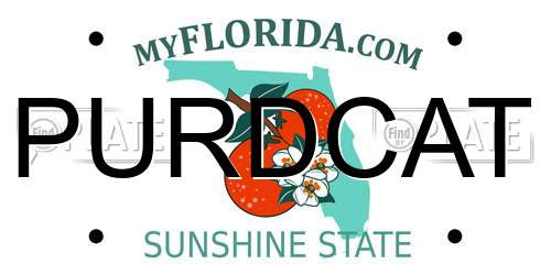 PURDCAT Florida License Plate