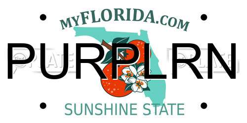 PURPLRN Florida License Plate