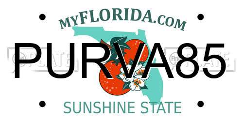 PURVA85 Florida License Plate