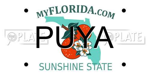 PUYA Florida License Plate