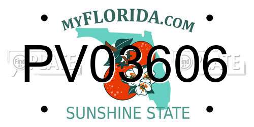 PV03606 Florida License Plate