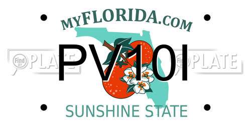 PV10I Florida License Plate