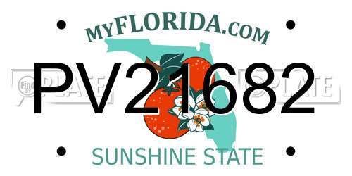 PV21682 Florida License Plate