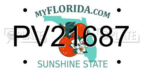 PV21687 Florida License Plate