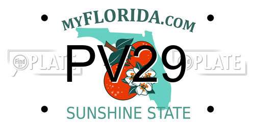 PV29 Florida License Plate