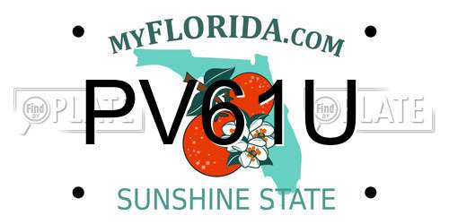PV61U Florida License Plate
