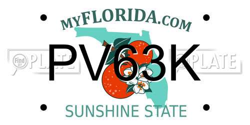 PV63K Florida License Plate