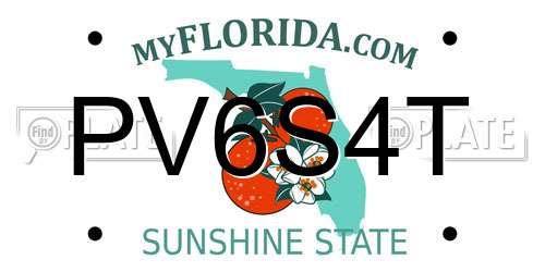 PV6S4T Florida License Plate