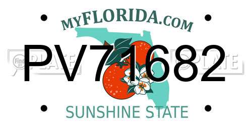 PV71682 Florida License Plate