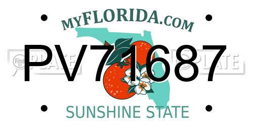 PV71687 Florida License Plate