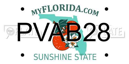 PVAB28 Florida License Plate