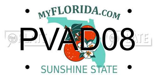 PVAD08 Florida License Plate