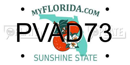 PVAD73 Florida License Plate