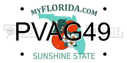 PVAG49 Florida License Plate