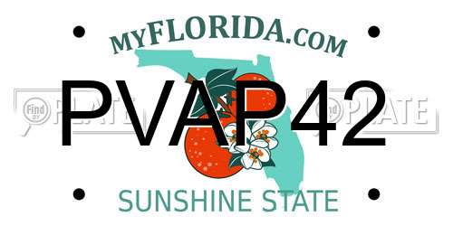 PVAP42 Florida License Plate