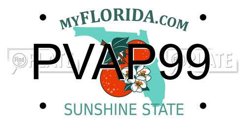 PVAP99 Florida License Plate