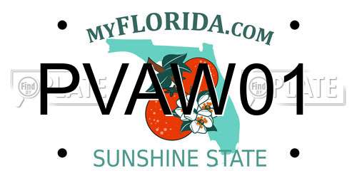 PVAW01 Florida License Plate