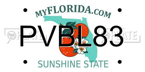 PVBL83 Florida License Plate