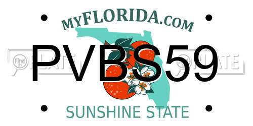 PVBS59 Florida License Plate
