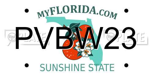 PVBW23 Florida License Plate