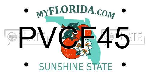 PVCF45 Florida License Plate